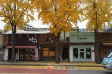 종로구, 돈화문로 한글 간판 새단장