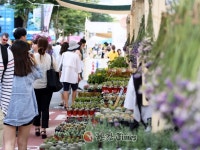 서대문구, 신촌 국제 꽃시장 열려..화훼산업 활성화 도모