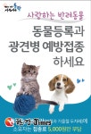 동작구, 반려동물 광견병 예방접종 실시한다