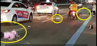 광주 쌍촌동 교통사고 영상.. 무단횡단 끔찍한 결과 경악