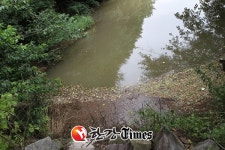 [단독] 오영호 전 의령군수 산속 대형 축사 20여개? 산림 파괴