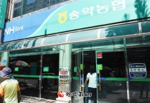 당진 농협강도 50대 여성 붙잡혀.. 술에 취해 범행