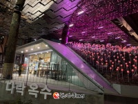 성동구, 고가 하부 문화공간 다락옥수... LED 장미정원 조성