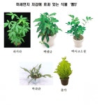 거실에 화분 두세요 실내 미세먼지 20% 줄여줘