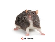 [오늘의 운세] 2019년 10월 18일 금요일