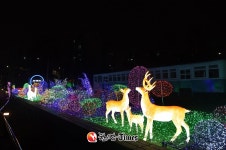 Foto aus Naver-Suchergebnissen 6