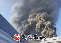 김해 부경축산물 도매시장 신축건물서 불…갑자기 불길 치솟아