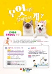 성동구, 전국 최초 반려동물 무료상담실 운영