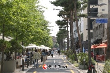 서울로사잇길을 아시나요?... 중구, 만리재 보행로 새 상권 기대