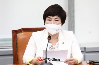 전혜숙 의원 