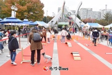노원구, 오는 14일 반려동물 문화축제 개최