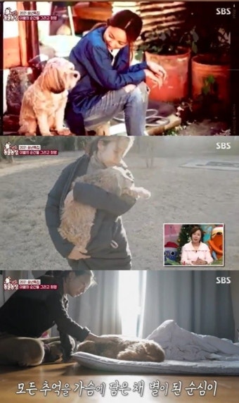 이효리, 반려견과의 이별 