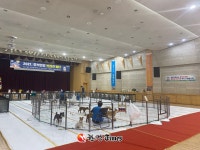 노원구, 추석 연휴 구청 대강당 반려견 쉼터 운영