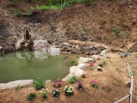 [여행 정보] 원주 그곳에 가면 편백나무 펜션…피톤치드 만끽