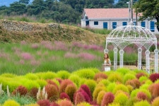 남원 신생마을 꽃의 향연 관광객들 사로잡아