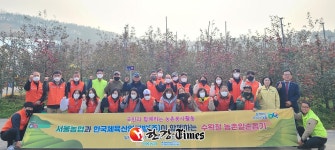 서울농협, 한국체육산업개발(주)과 수확철 일손돕기 구슬땀