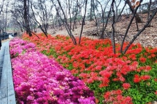 동대문구, 서울형 치유의 숲길 배봉산근린공원 대대적 정비