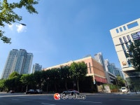강남구, 이면도로 지중화 타당성 연구용역 착수