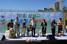 반려동물과 함께 공존... 성동구, 반려동물 친화 정책 추진 박차
