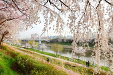 호암산·안양천 등...금천구, 주민들이 뽑은 금천 9경(景) 공개