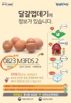 달걀 사육환경번호·산란일자 등 허위 표시 업체 12곳 적발