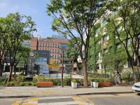 성동구, 보건소 내 치유와 숲이 어우러진 동행가든 유화원 조성