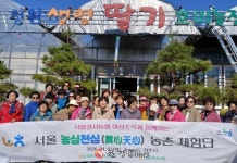 서울농협, 농심천심(農心天心) 농촌체험단 본격 운영