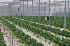 순창군, 경영 실습 임대농장 운영 1년, 새내기 농부에 큰 호응