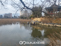 김천 8경(景) 교동연화지, 새봄맞이 환경정비 실시
