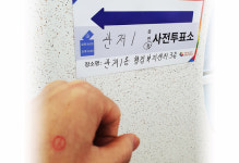 [종합] 대선 사전투표율 전남49%최다, 경기도31%최저