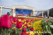 에버랜드에서 매일 방탄소년단 콘서트 열린다...에버랜드 튤립파워가든 18일 오픈