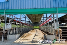 충북도, 2022년 축산 ICT(정보통신기술) 지원사업 추진
