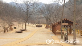 대구시 수성구 대흥동 유아숲체험원에서 자연을 느껴요!