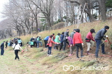 하남 산곡천변, 흐드러지게 핀 황매화 꽃길 기대