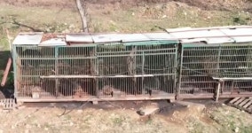 [속보] 용인 처인구서 4개월 만에 곰 발견...예직마을 뒷산