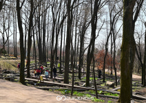 [국제포토] 인천대공원 & 인천수목원