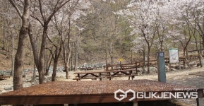 양산시시설관리공단, 대운산휴양림 야영장 16일 개장