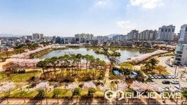 [포토] 충남 서산 중앙호수공원에 벚꽃 활짝