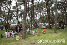 영동군 송호관광지 개장 캠핑족들 유혹