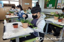 청주 옥산초등학교, 화분 정원 가꾸기 통해 심리 안정