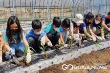 옥천 안내초등학교, 안내면, 어디까지 가봤니 프로젝트 운영