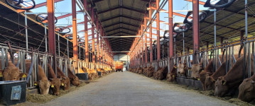 홍성군, 한우농가 경영안정 지원