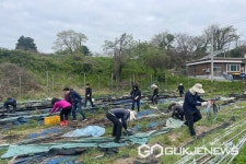 충북도청 공직자, 휴일 생산적 일손봉사 대거 참여