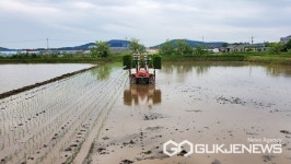 경기 광주시 장지동과 금사리, 올해 첫 모내기