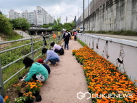 용인시 구성동 주민들과 함께하는 걷고 싶은 탄천길 만들기 진행