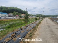 연천군 미산면, 고향의 꿈 조성사업...화목 3,597주 식재 완료