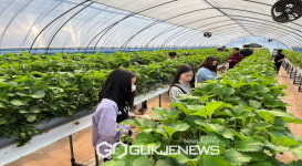 서벽초등학교, 정향 봉화 四色체험프로젝트 운영