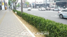 천안시, 도시 바람길 숲 척척 진행 중...10월 완료 예정