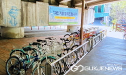 용인시 보정동  자전거에 추억과 낭만을 싣고 탄천을 달려 보아요~