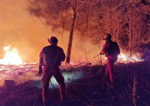 [속보] 전남 광양 산불 야간진화대원 투입